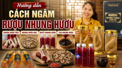 Cách ngâm rượu nhung hươu đúng chuẩn (tươi, khô, huyết, cao)