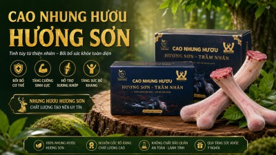 Cao nhung hươu Hương Sơn là gì? Có tốt không? Mua ở đâu uy tín?