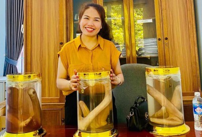 Rượu nhung hươu Hương Sơn: Công dụng, giá bán và sản phẩm nên mua