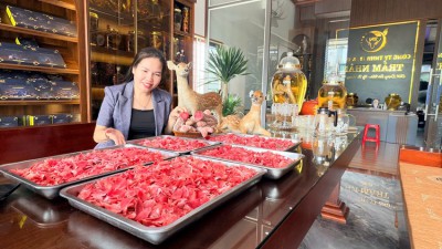 Tác dụng của nhung hươu với phụ nữ: Bí quyết bồi bổ sức khỏe và sắc đẹp