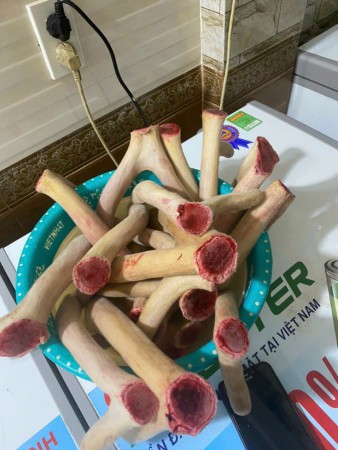 Nhung hươu tươi Hương Sơn