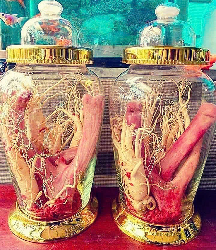 Nhung hươu Hương Sơn