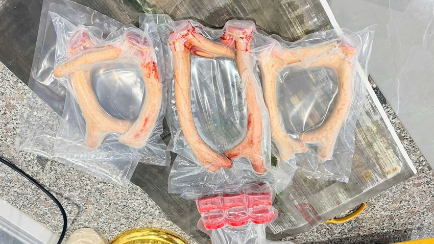 nhung huou tuoi huong son gia bao nhieu 1 lang